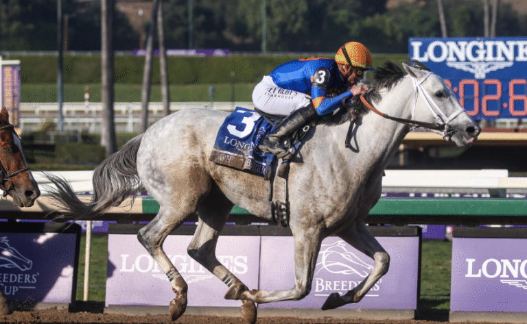 A Beginner’s Guide to Understanding Horse Racing Odds